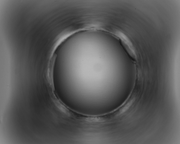 X0000088211336200705221735