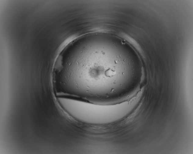 X0000088211338200705221735