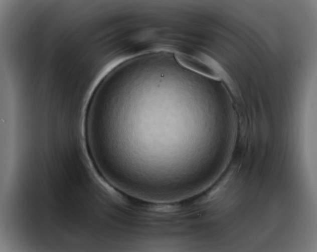 X0000088211339200705221735