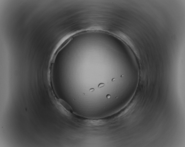 X0000088211340200705221735