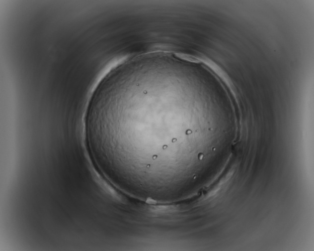 X0000088211341200705221735