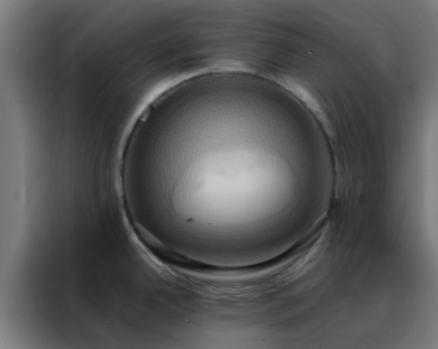X0000088211342200705221735