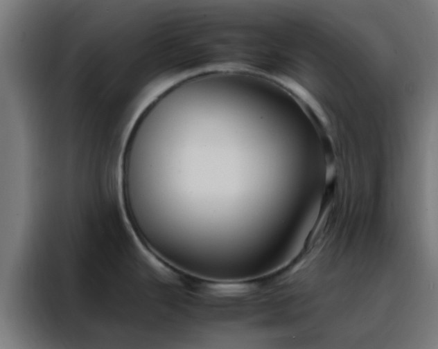 X0000088211343200705221736