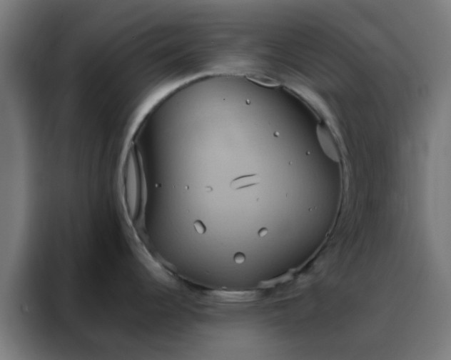 X0000088211344200705221736