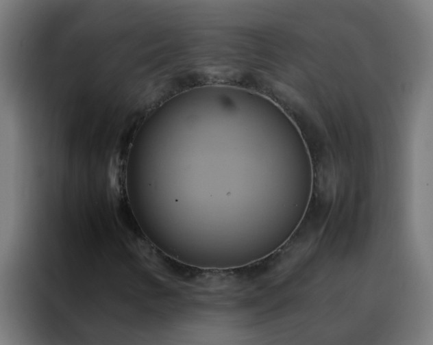 X0000088211346200705221735