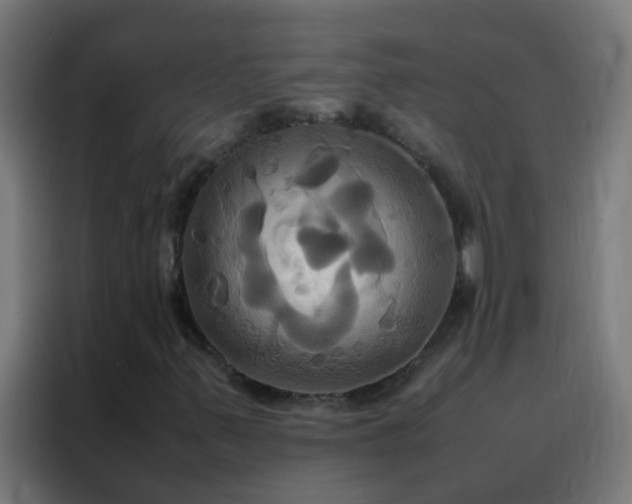 X0000088211347200705221735