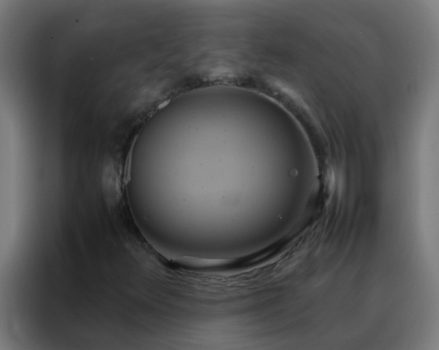 X0000088211348200705221735