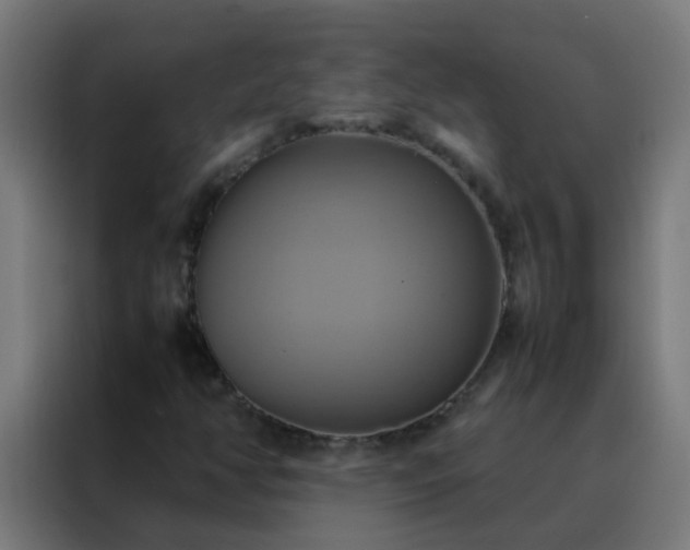X0000088211350200705221735