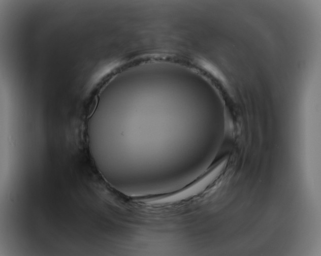 X0000088211352200705221735