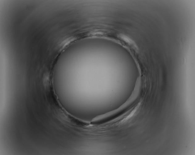 X0000088211353200705221735