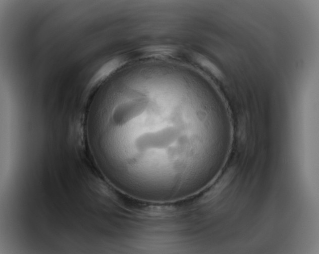 X0000088211354200705221735
