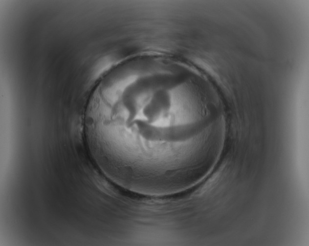 X0000088211355200705221735