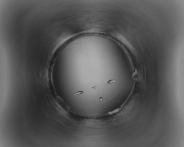 X0000088211356200705221735