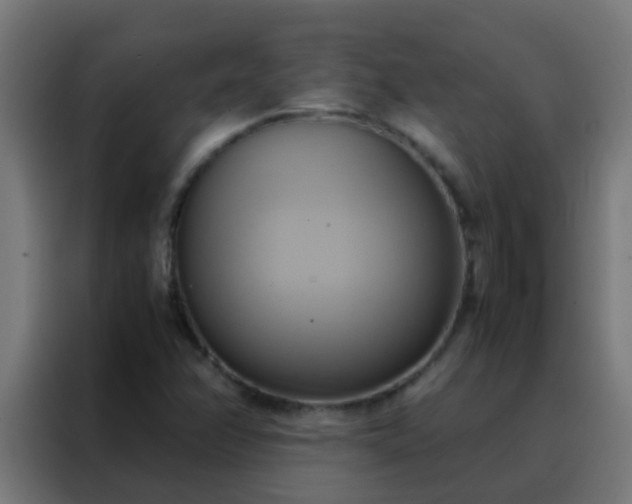 X0000088211358200705221735
