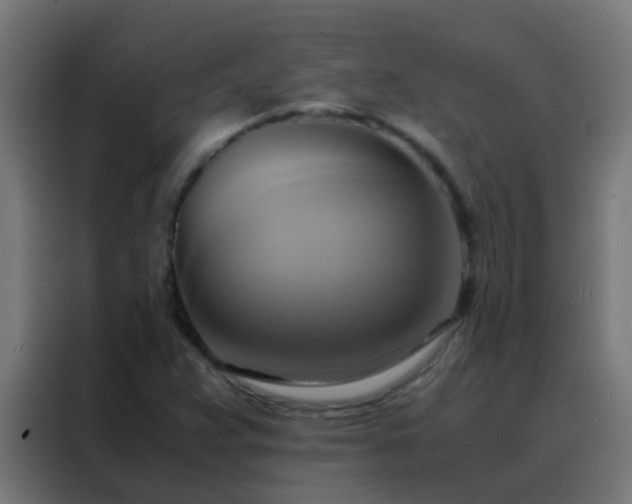 X0000088211359200705221735
