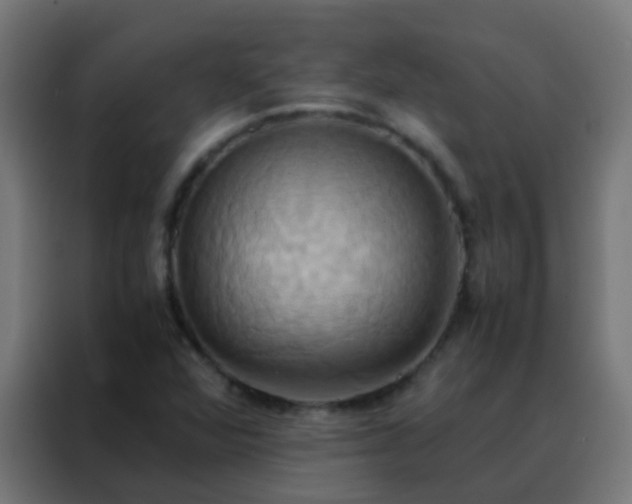 X0000088211360200705221735