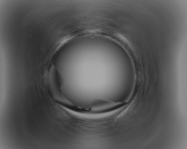X0000088211361200705221735