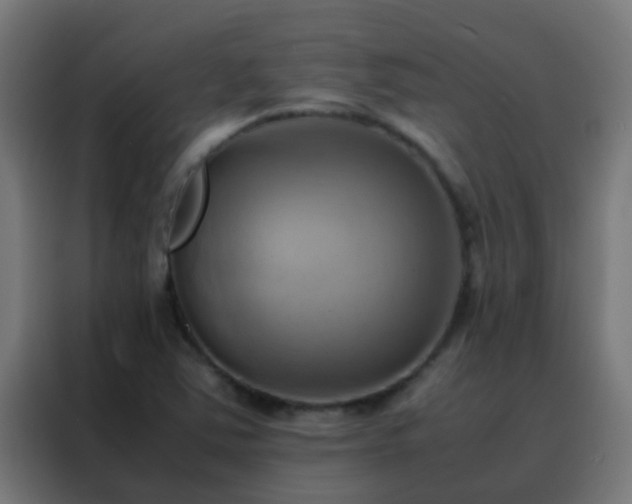 X0000088211363200705221735