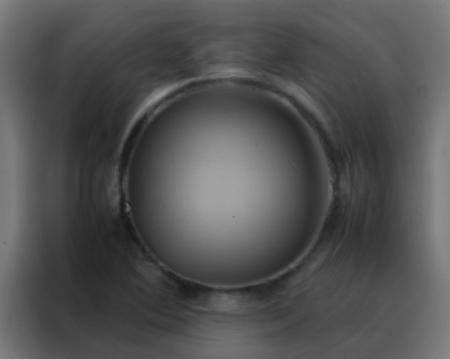 X0000088211364200705221735