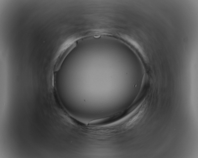 X0000088211365200705221735