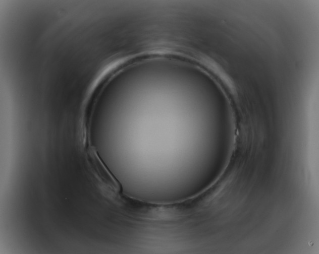 X0000088211368200705221735