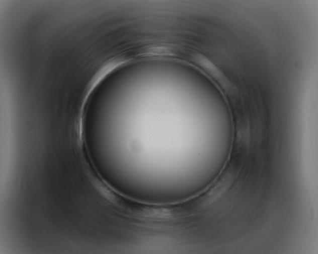 X0000088211370200705221735