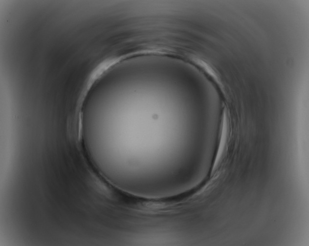 X0000088211371200705221735
