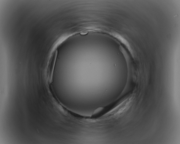 X0000088211373200705221735