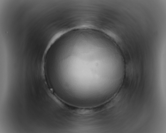 X0000088211374200705221735