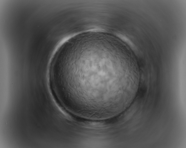X0000088211375200705221735
