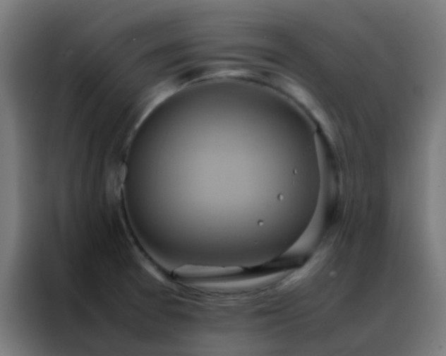 X0000088211377200705221734