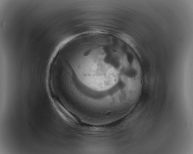 X0000088211379200705221734