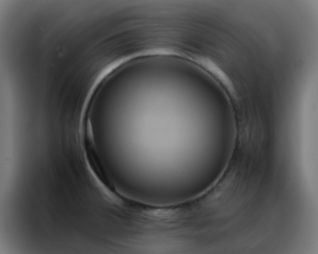X0000088211380200705221734