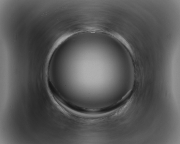 X0000088211381200705221734
