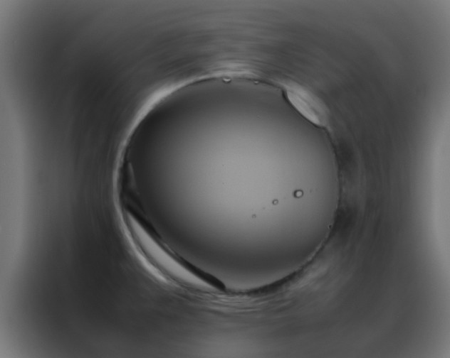 X0000088211383200705221734