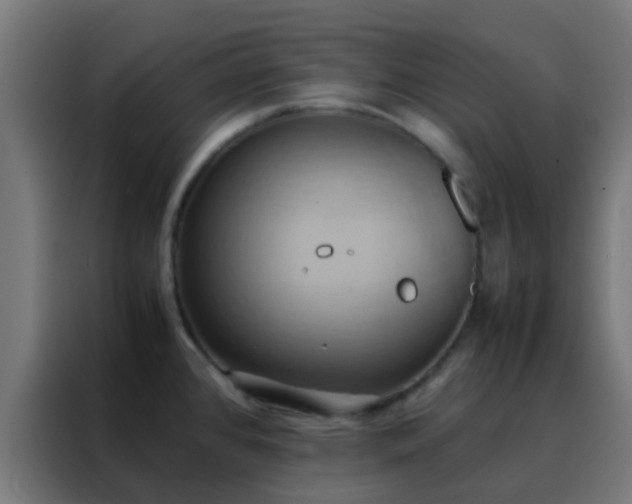 X0000088211384200705221734