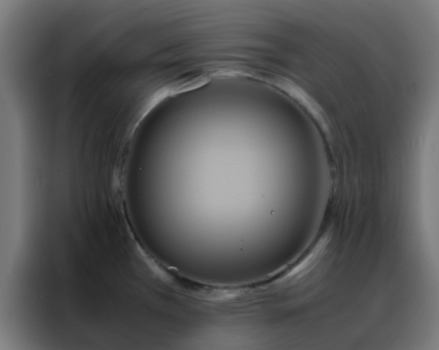 X0000088211385200705221734