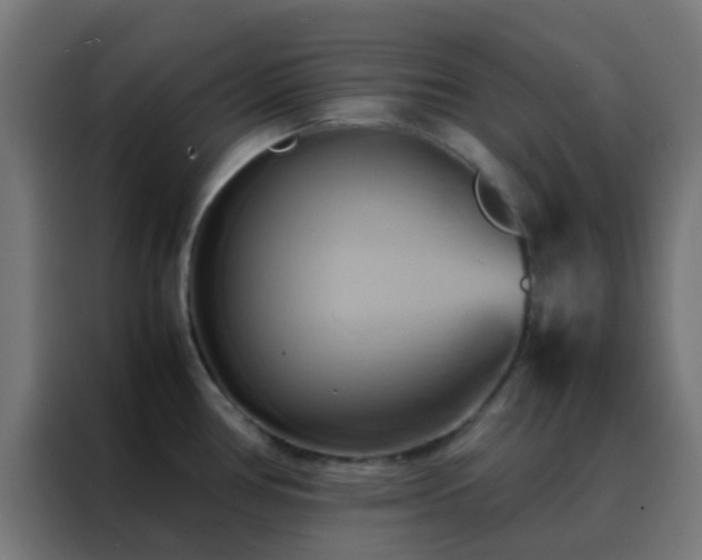 X0000088211386200705221734
