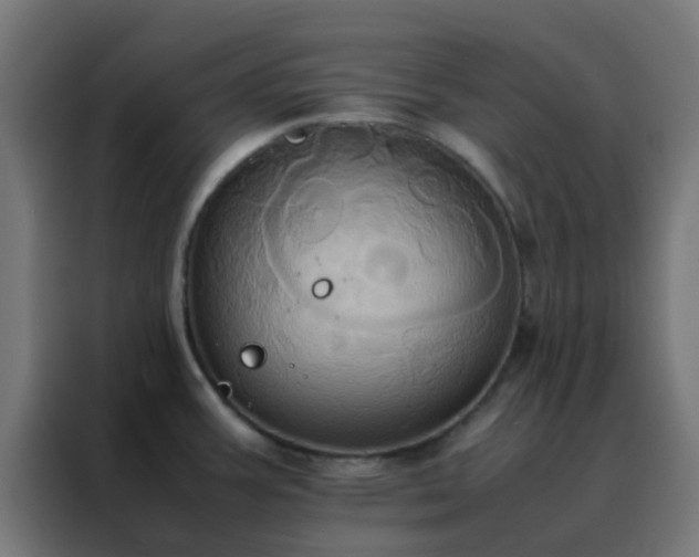 X0000088211387200705221734