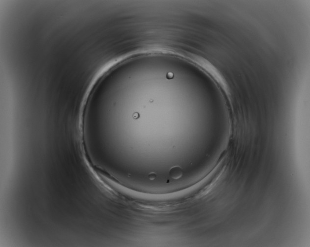 X0000088211388200705221734