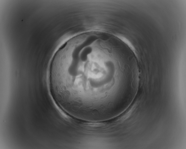 X0000088211391200705221734