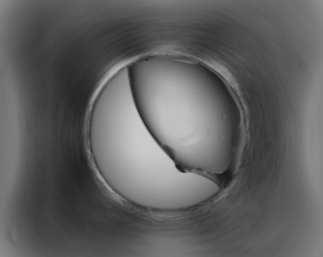 X0000088211392200705221734