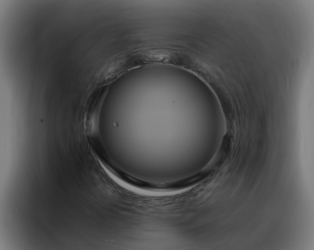 X0000088211394200705221734