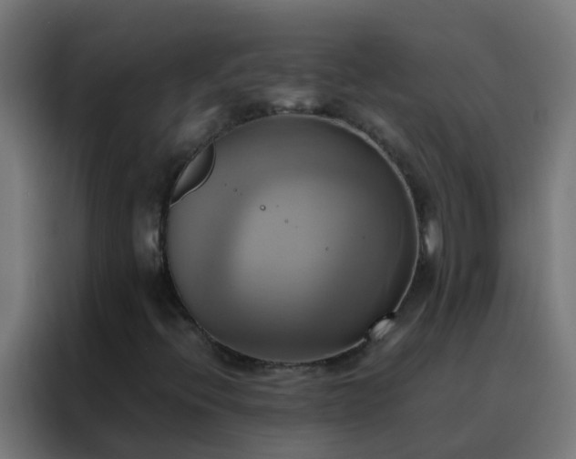 X0000088211396200705221734
