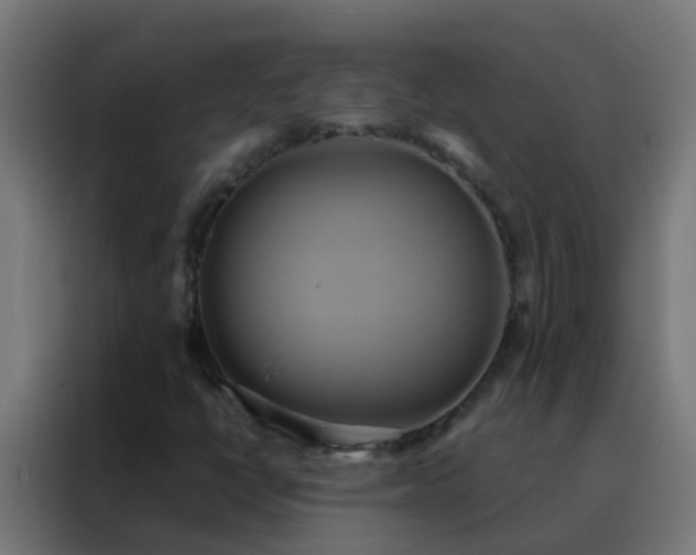X0000088211398200705221734