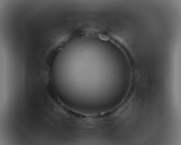 X0000088211399200705221734