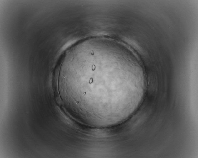 X0000088211404200705221734