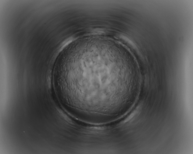 X0000088211409200705221734
