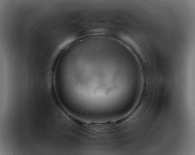 X0000088211411200705221734