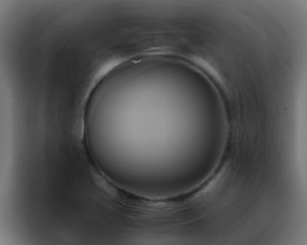 X0000088211413200705221734